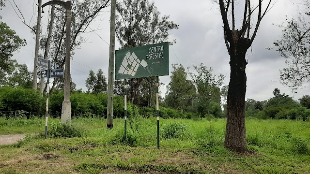 Centro Vecinal de Forestal solicito audiencia con el Intendente 