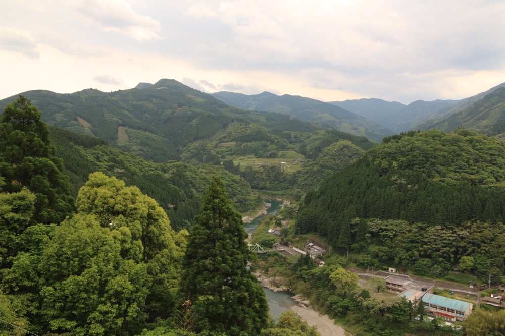 View