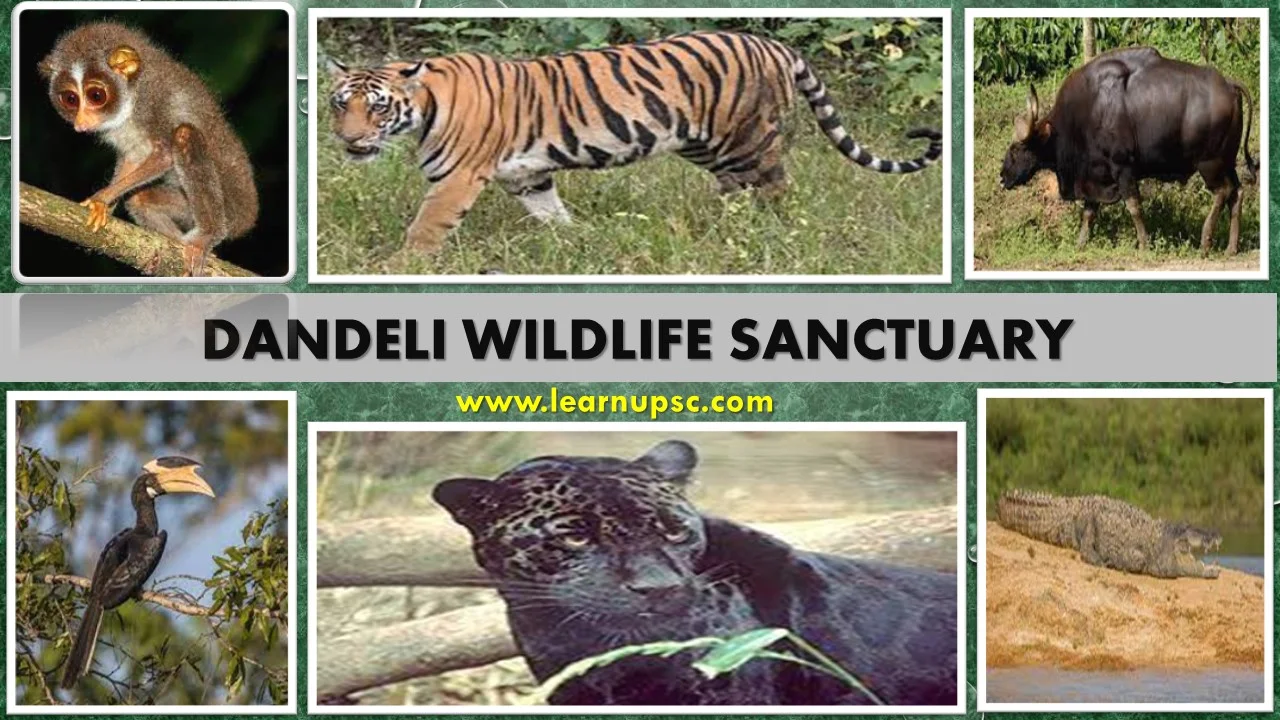 Dandeli Wildlife Sanctuary