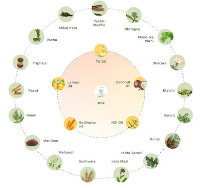 ayurveda.gdm-loja