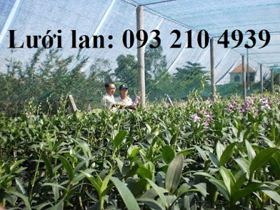 Lưới che nắng hiệu Hoa Lan nhập khẩu