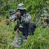 Kontak Tembak di Paniai: TNI dan TPNPB-OPM Kembali Bersitegang
