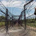 BSF tortures Bangladeshi to death