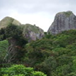 View album