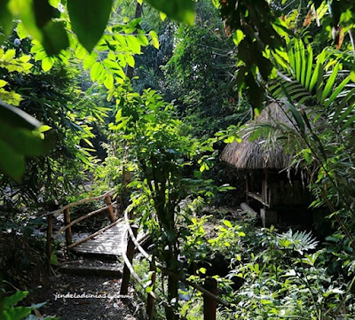 [http://FindWisata.blogspot.com] Unik, Berkunjung Ke Kampung Primitif Banyuwangi