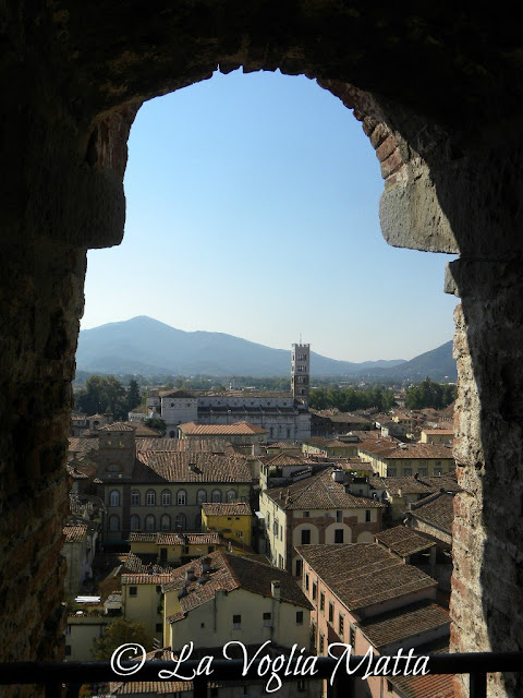 Lucca