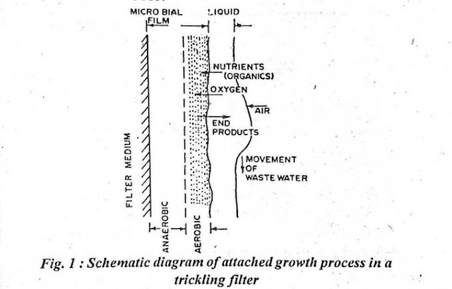 Trickling Filter Process