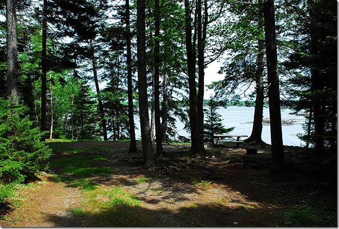 Cobscook Bay_054