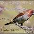 Keep thy tongue from evil, and thy lips from speaking guile. 