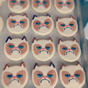 Η Tardar, γνωστή και ως Γκρινιάρα Γάτα (Grumpy Cat) που είναι πλέον μία .