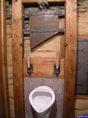 unusual toilets