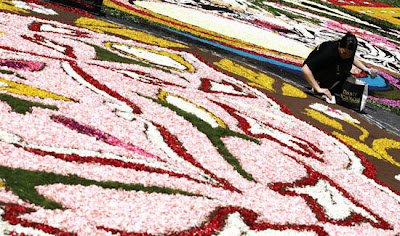 Giant floral carpet