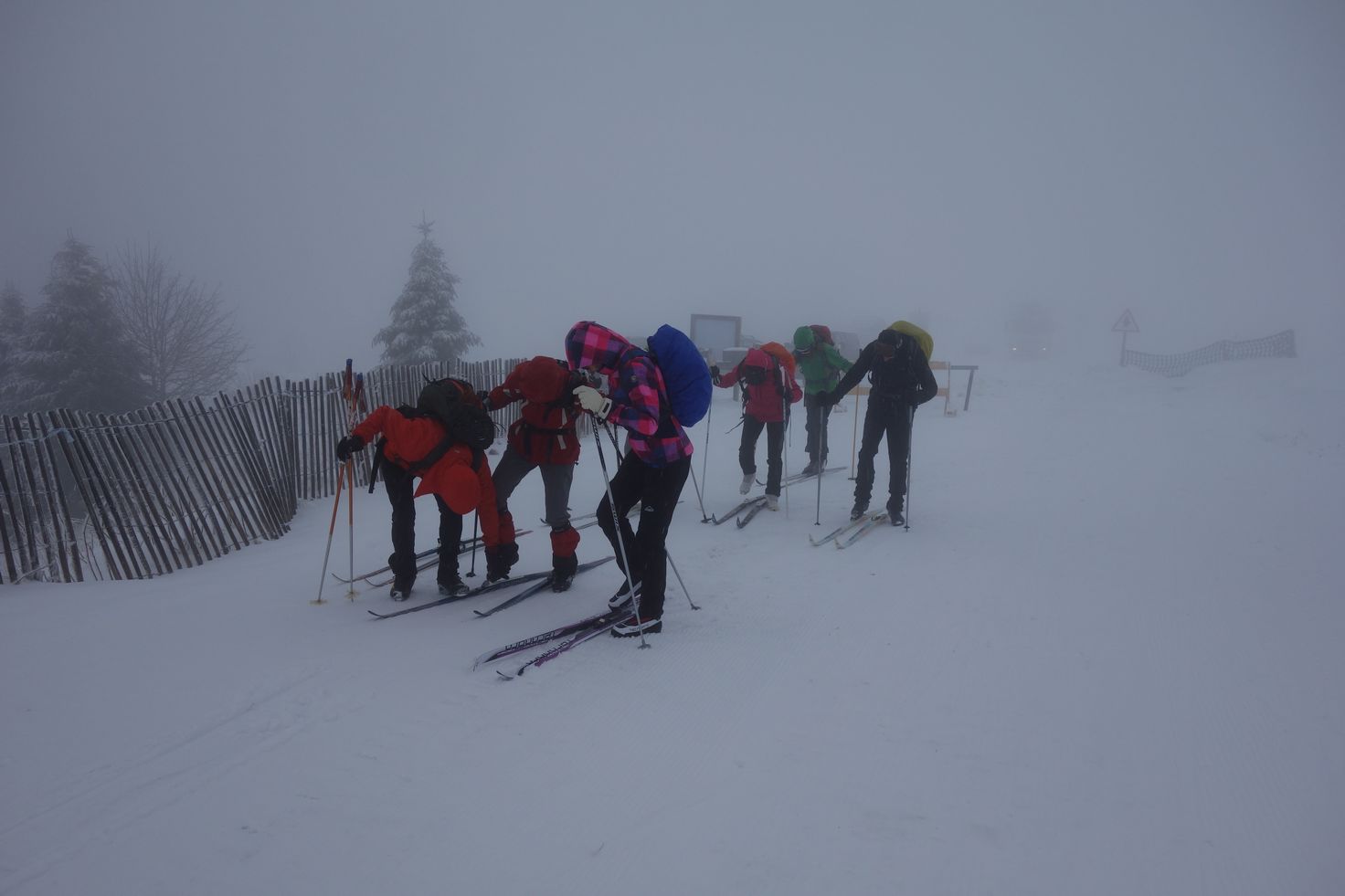 Le Blog Du Clas68 Sortie Ski De Fond Au Markstein Jeudi 12