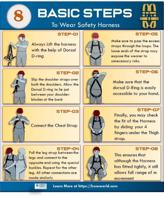 Basic Steps To Wear Safety Harness #infographic s #bestinfographic #infographic