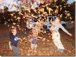 2008 11 03 Benjamin's BD 445