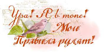 Мои правила рулят! =))