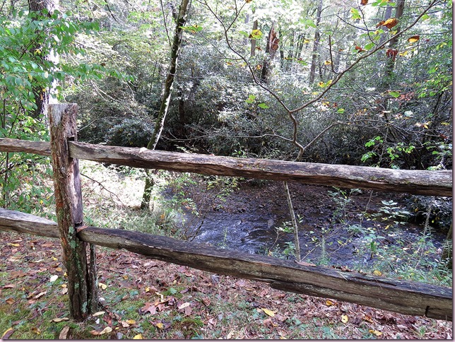 fencecreekIMG_3598