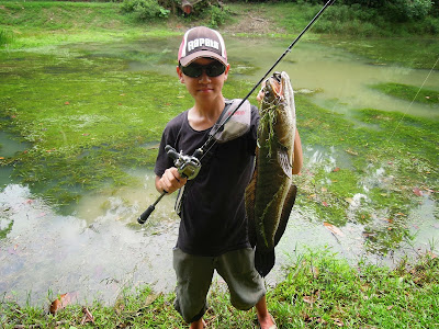 mua ban can cau ca tai kien giang