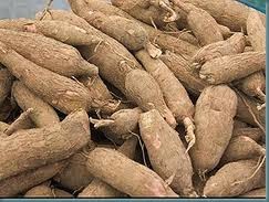 http://brimhome.blogspot.com/2014/01/how-to-process-cassava-into-flour.html