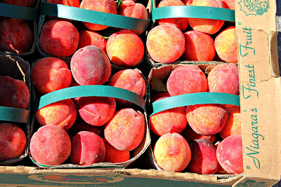 Collingwood Farmers Market