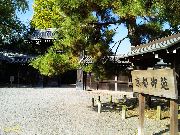 日本紀行：京都御苑 - 日本天皇的御花園