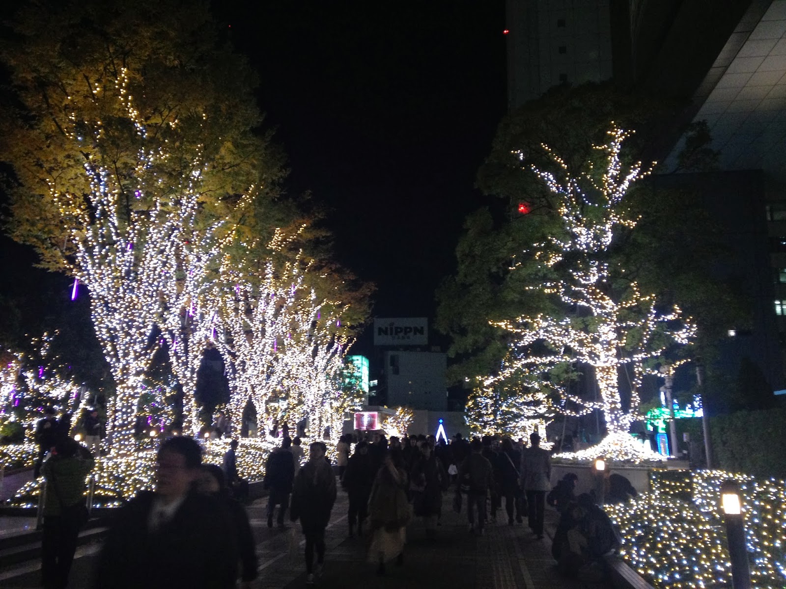 夜景写真がキラキラになる無料アプリ ふーてんのipad