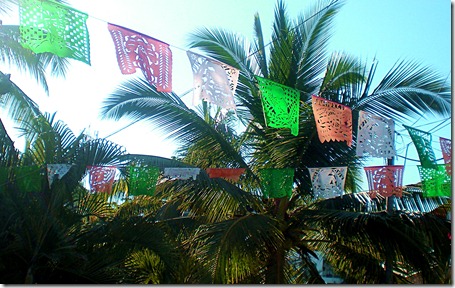 colorflags