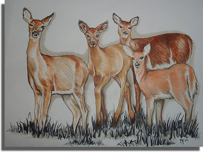 Copic Deer