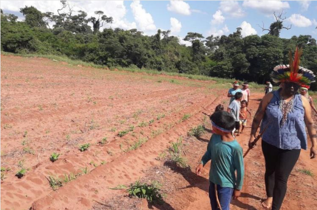 Ataque na aldeia Taquara em Juti-MS