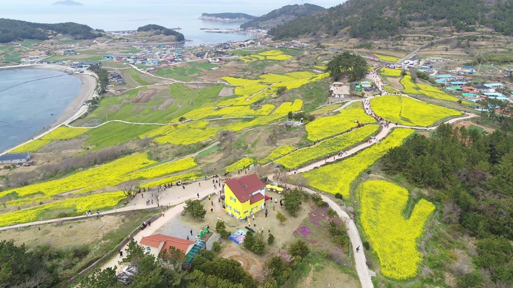 เกาะชองซานโด (Cheongsando Island: 청산도)