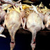 Beredar Kabar RI Impor Daging Ayam Brasil, Ini Bantahan Kementan