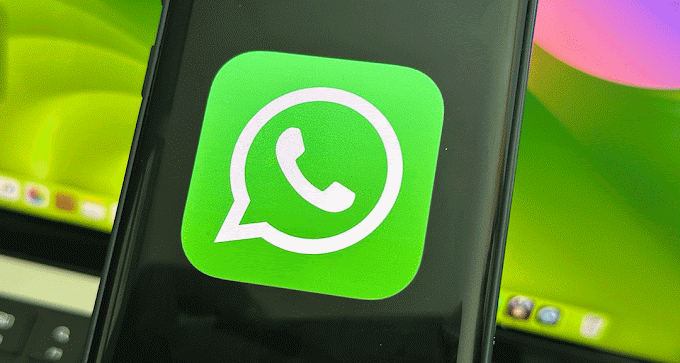 Como recuperar áudio vídeo foto apagada do WhatsApp?