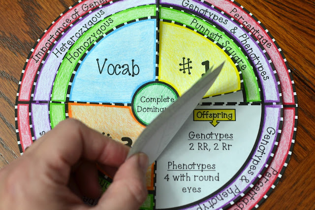 Genetics Foldable