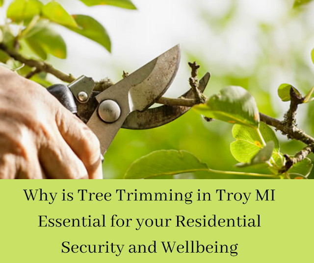 tree-trimming-in-troy-mi