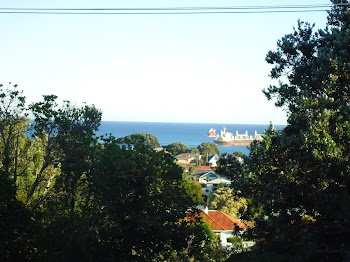 A ship right outside our window