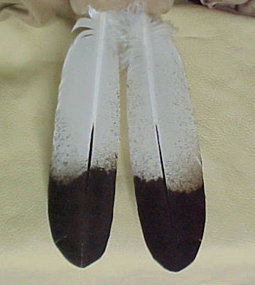 Eagle feathers are a sacred symbol in Native American culture.