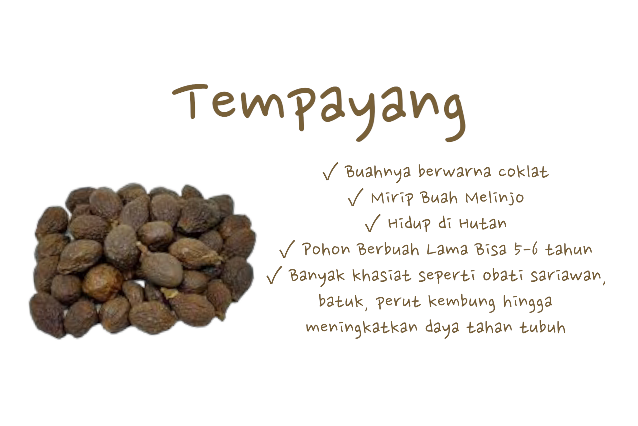 Buah Tempayang Minuman Tradisional Khas Urang Minang