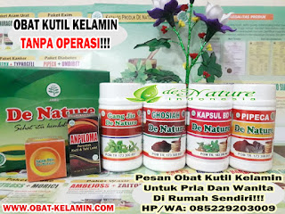 Obat Kutil Kelamin