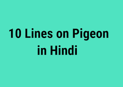 5 Lines on Pigeon in Hindi