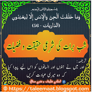 Islami taleemaat