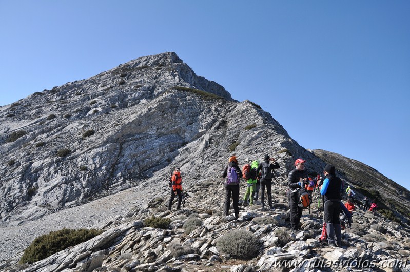 IX Travesía Sierra de las Nieves