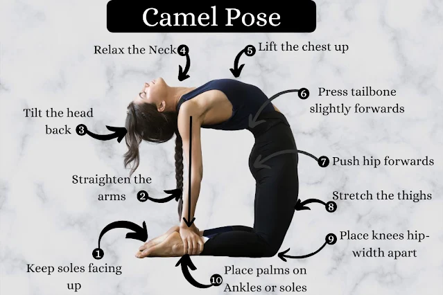 Top 20 Health Benefits of Camel Pose