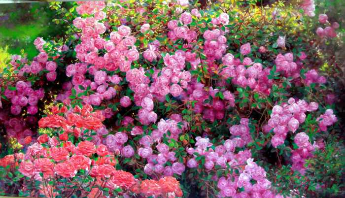 Romantic Flowers: Rose Garden