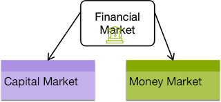 CBSE Class 12 Business Studies - Capital Market vs Money Market