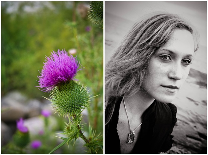 Brittany_diptych1