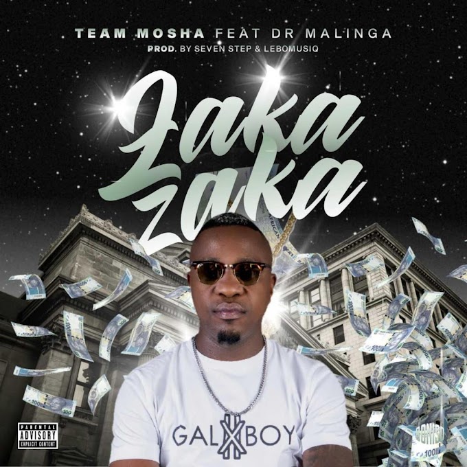 (Amapiano 2021) Team Mosha - Zaka Zaka (feat. Dr Malinga) [Exclusivo 2021] (Download MP3)