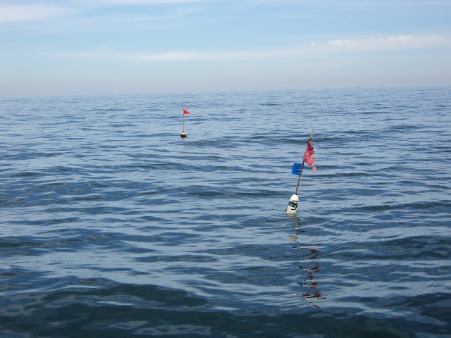 Fishing buoys