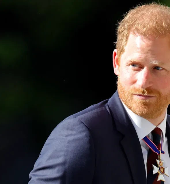 Prince Harry Stunned as Camilla Tominey Exposes Shocking Behavior During Royal Tour