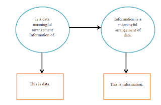 data and information diagram in pictorial