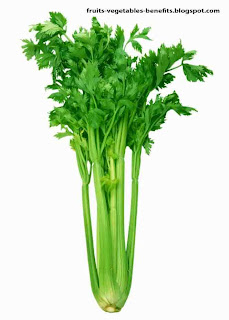 benefits _of_juicing_celery_fruits-vegetables_benefitsblogspot.com(3)